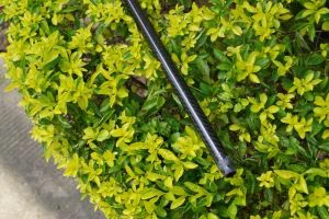 High Strength 10 * 8mm Epoxy Carbon Fiber Tube / pípa